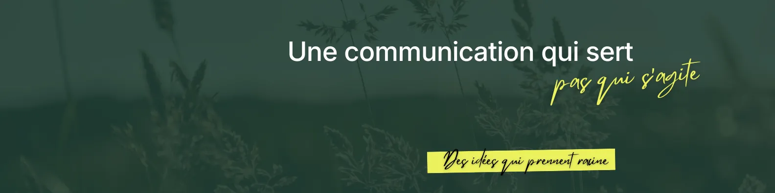 La Petite Pousserie — Conseil en communication